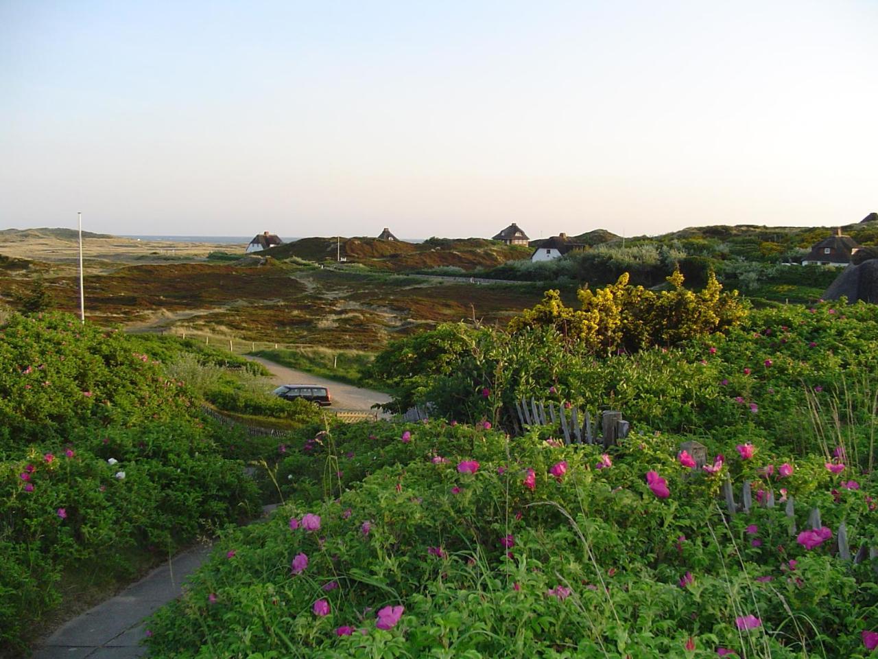 Giebelhaus Frida - Sylt, Westerland Exterior foto